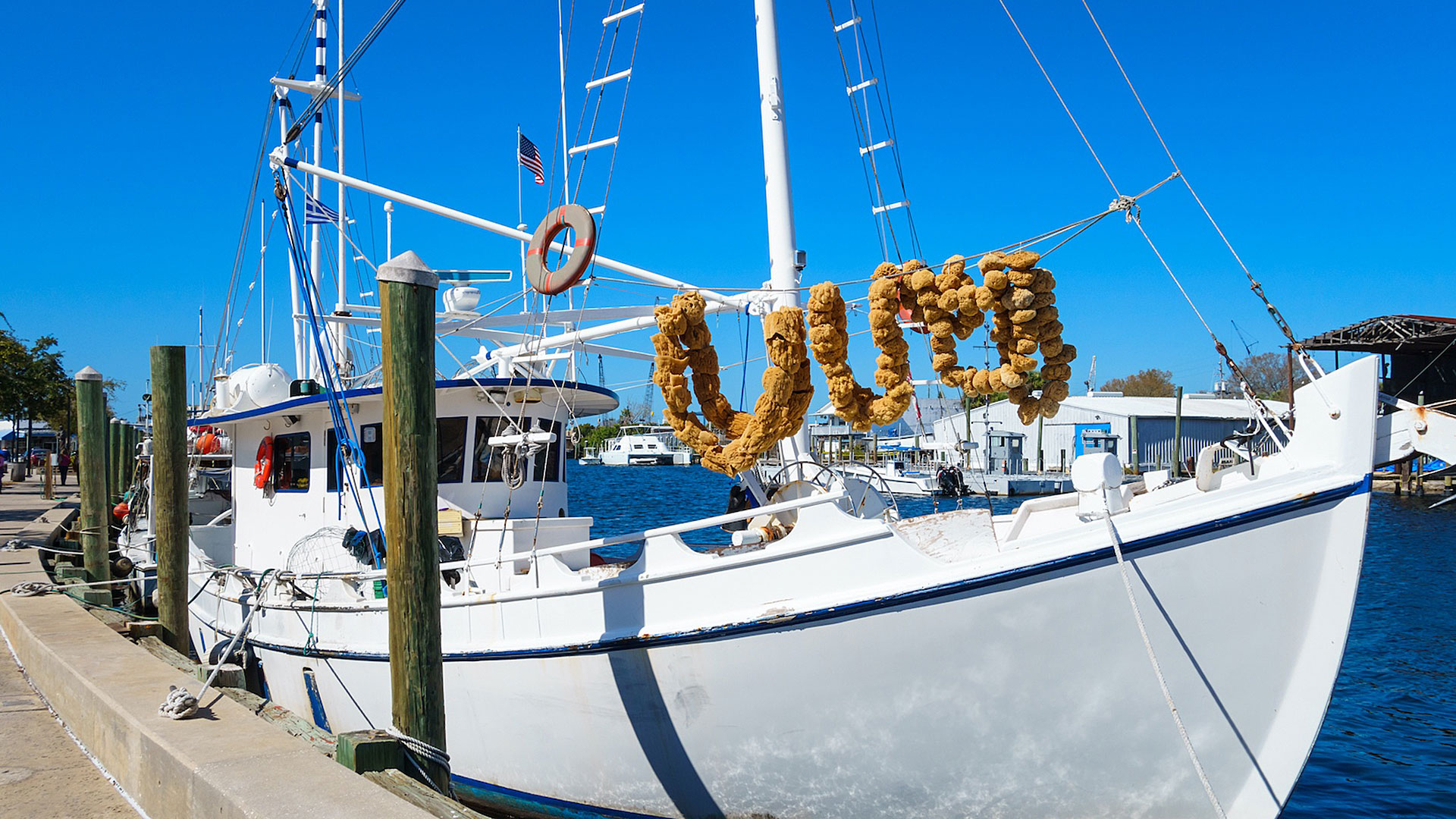 Solid Rock Inspections Group, Tarpon Springs Property Inspection Company