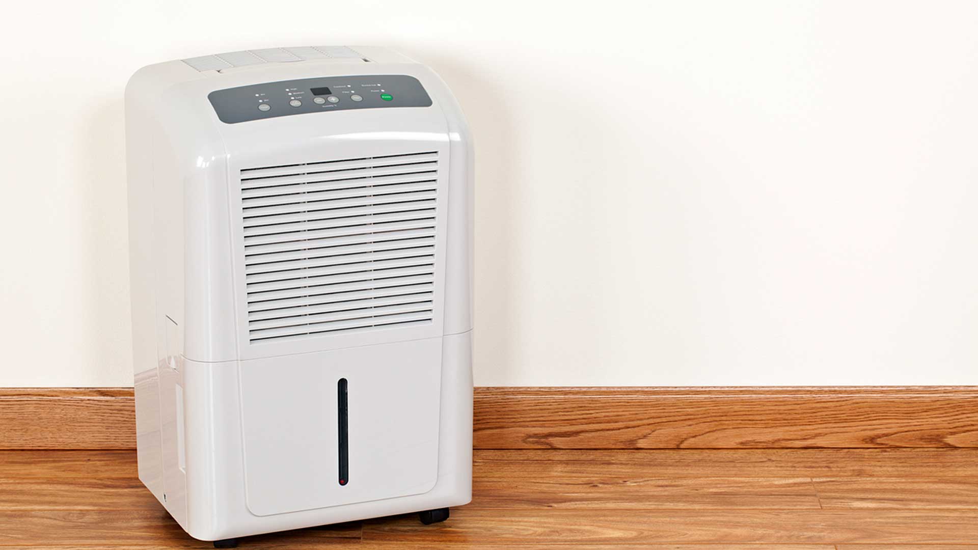 Solid Rock Inspections Group, Tampa Bay, Florida, Dehumidifier for your home
