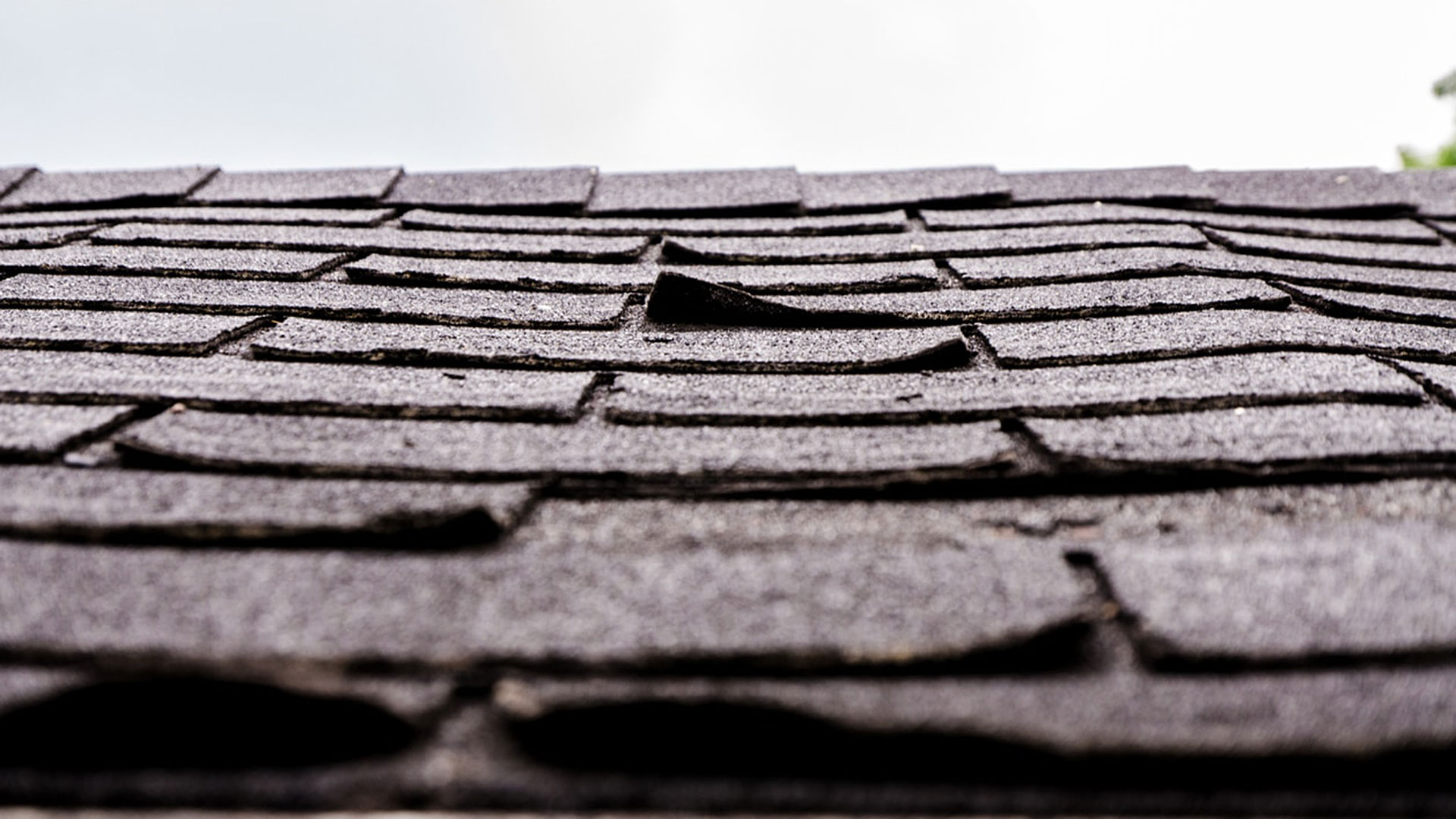Solid Rock Inspection Group, Clearwater, FL, Asphalt Shingles In Tampa Bay