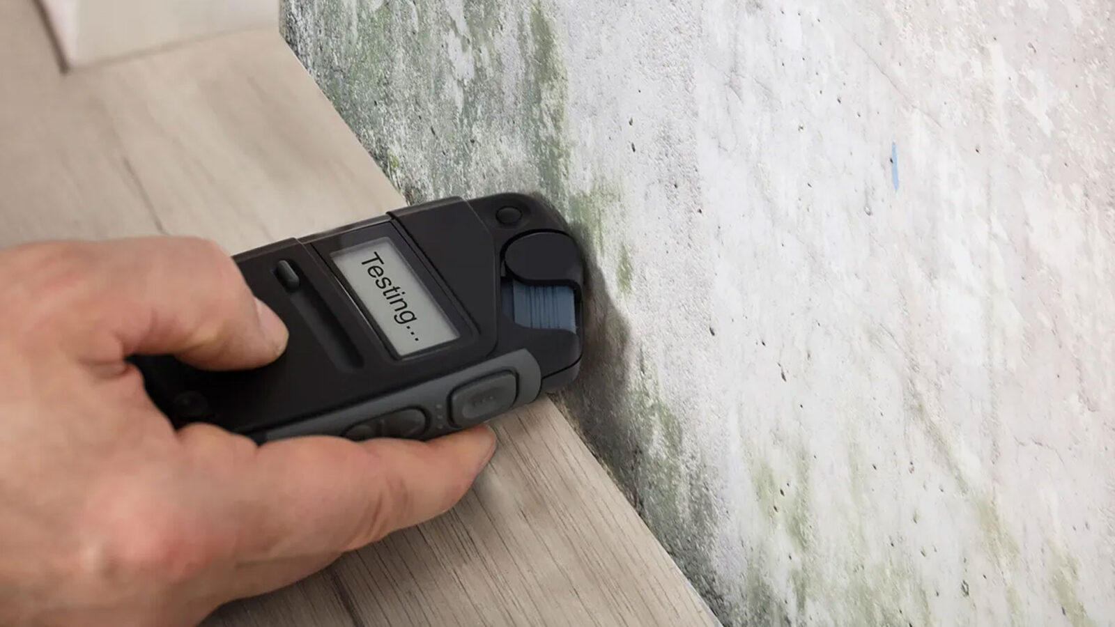 Solid Rock Home Inspections, Clearwater, FL, Dangerous Mold Detection