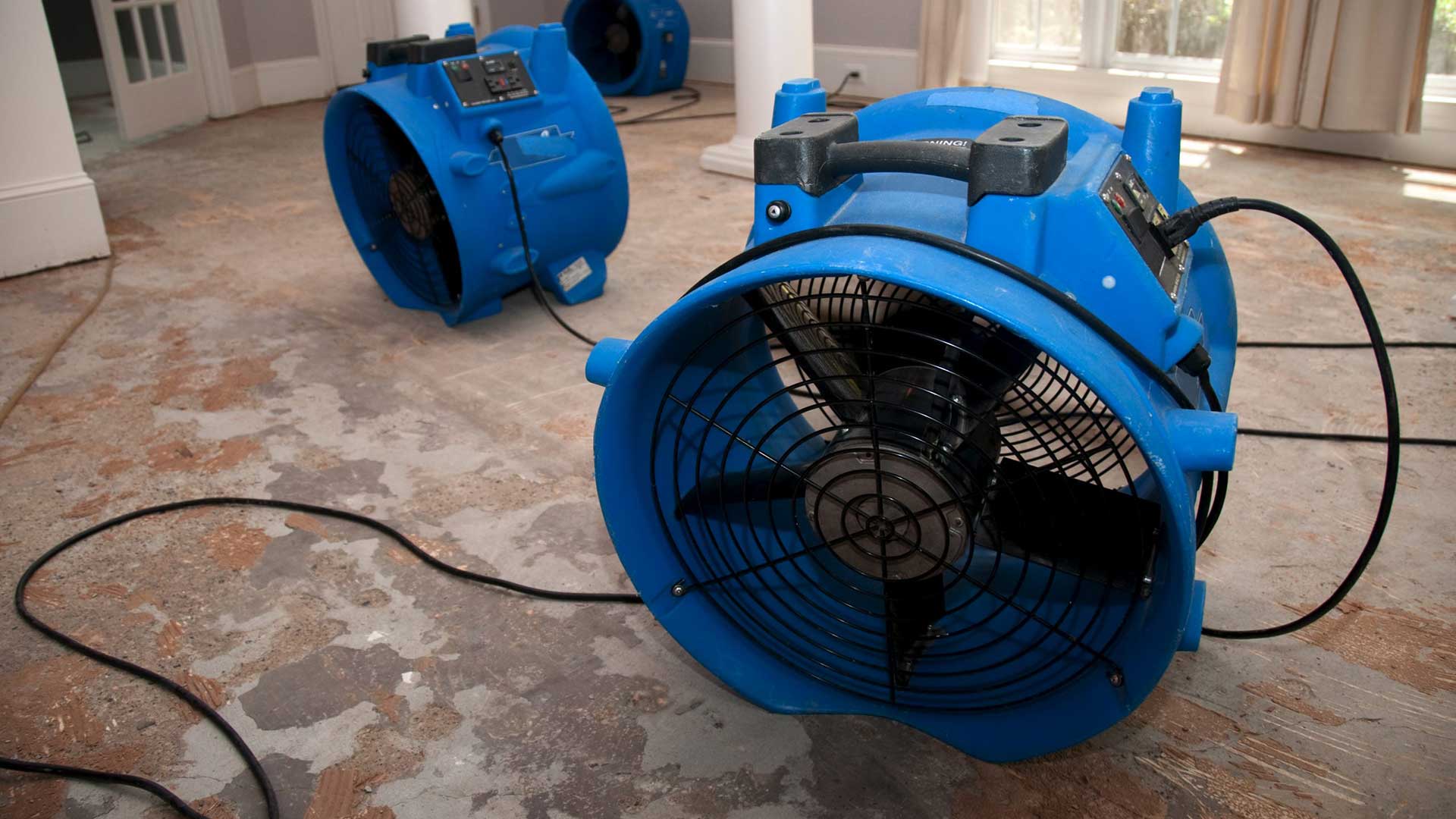 Solid Rock Inspections Group, Clearwater Mold Inspection