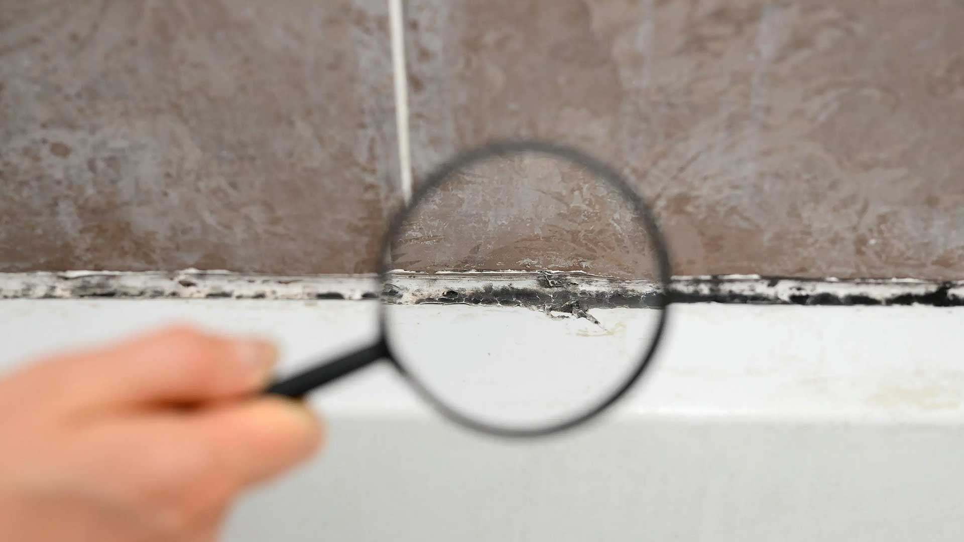 Solid Rock Inspections Group, Clearwater, Florida, Mold Inspection Service Locations